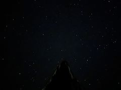 -爱定格照相馆.证件照(周浦万达店)