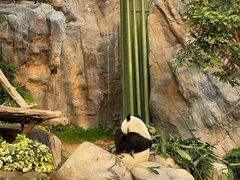-香港海洋公园