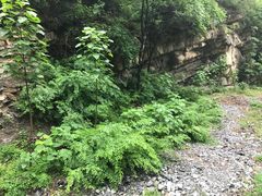 -北京上方山国家森林公园