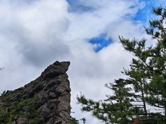 -朱雀国家森林公园