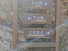 -大岭沟猕猴桃谷风景区