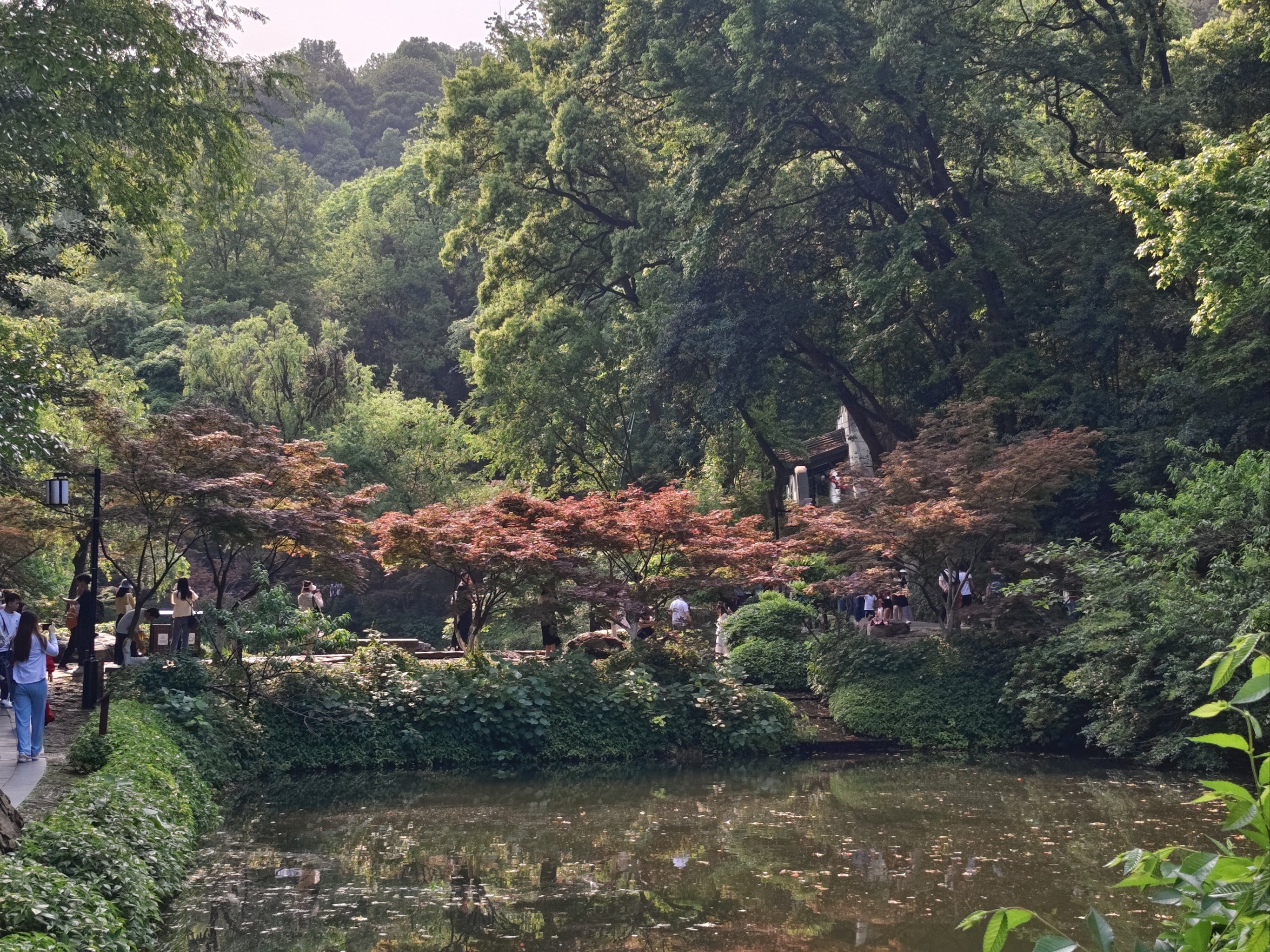 岳麓山春天的景色图片