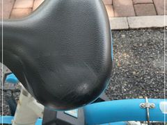 -瑞派宠物医院(搏威敦和院)