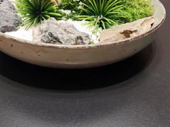 -云客来·花园餐厅(洛社店)