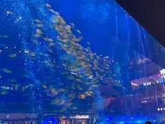 -成都浩海立方海洋公园