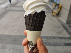 椰子冰淇淋-喜茶(合肥中环城店)