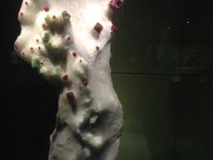 -中华赏石园