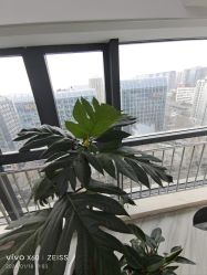 -HEYAN荷妍专业脱毛连锁机构