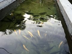 -北京水岸山吧度假村(雁栖镇店)