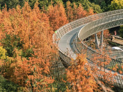 -梅峰山地公园