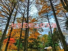 -四明山国家森林公园
