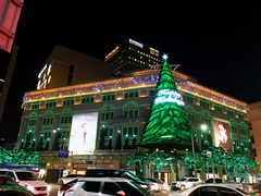 -新世界百货(明洞总店)