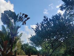 -深圳国际园林花卉博览园