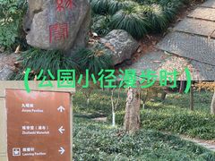 -九曜山