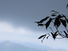 -三清山希尔顿度假酒店