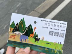 -武汉园博园(武汉自然博物馆)