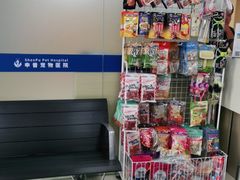 -申普宠物医院·心脏介入·心血管微创(总院)