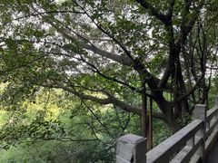 -广州市白云山风景名胜区