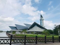 -盐城丹顶鹤湿地生态旅游区
