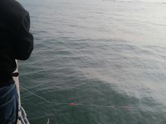 -青岛第三海水浴场