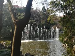 -叶家花园