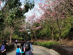 -田心森林公园