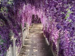 -抱犊寨风景区