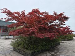 -天门寺