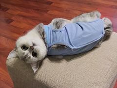 -惠康宠物医院(华能路店)