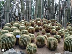 -南山植物园