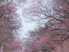 -吉林大学(南岭校区)