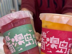 -南澳岛打卡果汁冰公司