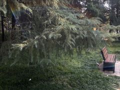 -郑州植物园
