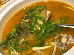 -九尊食上(生态园林酒店)