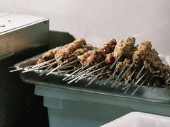 -景泰马记电烤串(景泰店)