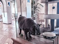 -Me Coffee下午茶艺术空间