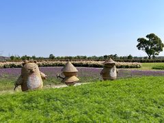-嘉北郊野公园