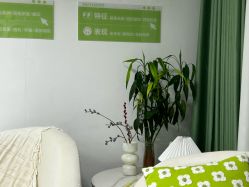 -凡碧诗毛孔清洁收细