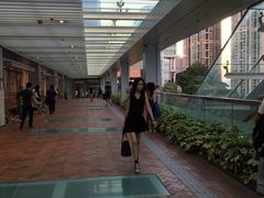 -香港大学