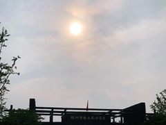 -杭州湾海上花田景区