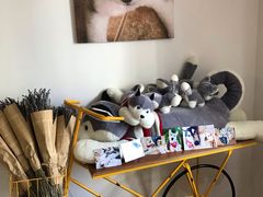 门面-Husky Go! 哈士奇体验馆·宠物咖啡厅狗咖