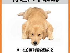 -唐小姐の猫狗洗护·购宠旗舰店(周浦万达店)