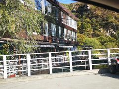 -Local泰莲庭(虹鳟鱼店)
