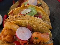-Pistolera Mexican Cantina女枪手墨西哥餐厅(碧云路店)