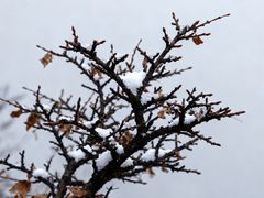 -洛阳白云山景区