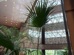 -上海新锦江大酒店