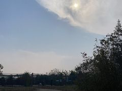 -盐城丹顶鹤湿地生态旅游区