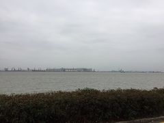 -海鸥岛