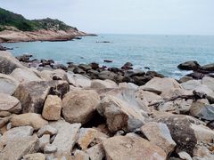 -广东惠东海龟国家级自然保护区
