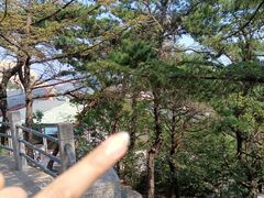 -崂山仰口游览区